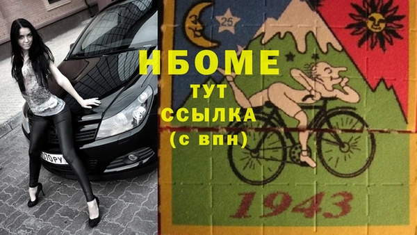 гашик Алексин