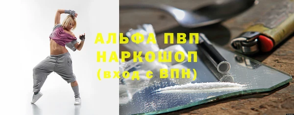 гашик Алексин
