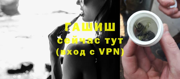 гашик Алексин