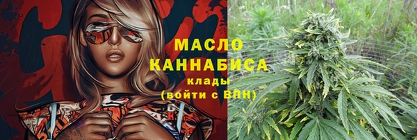гашик Алексин