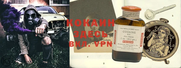 гашик Алексин