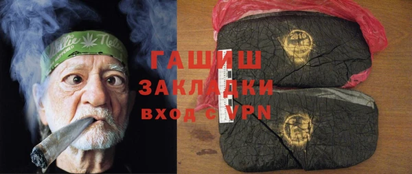 гашик Алексин