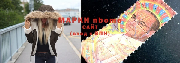 гашик Алексин