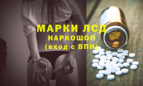 гашик Алексин