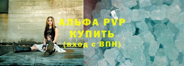 гашик Алексин